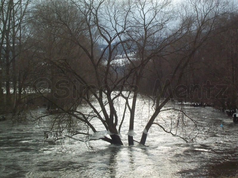 Images/027 Saale Eis.jpg